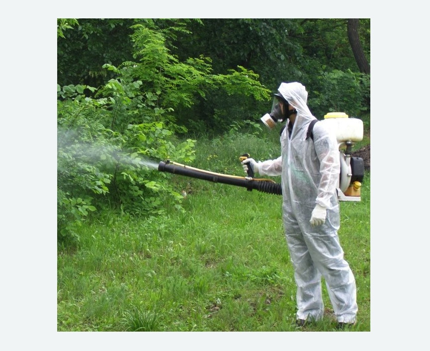 обработка территории от клещей в Оленегорске