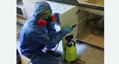Уничтожение муравьев в квартире. Оленегорск