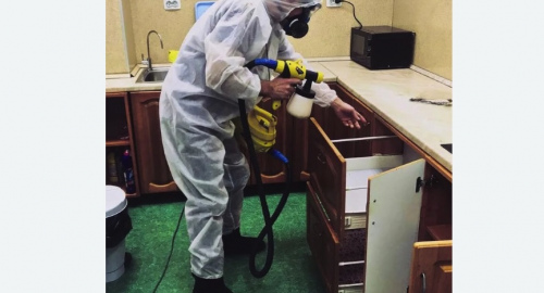 Дезинсекция квартиры. Оленегорск