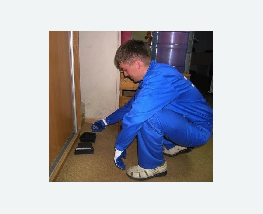 Дератизация крыс в Оленегорске