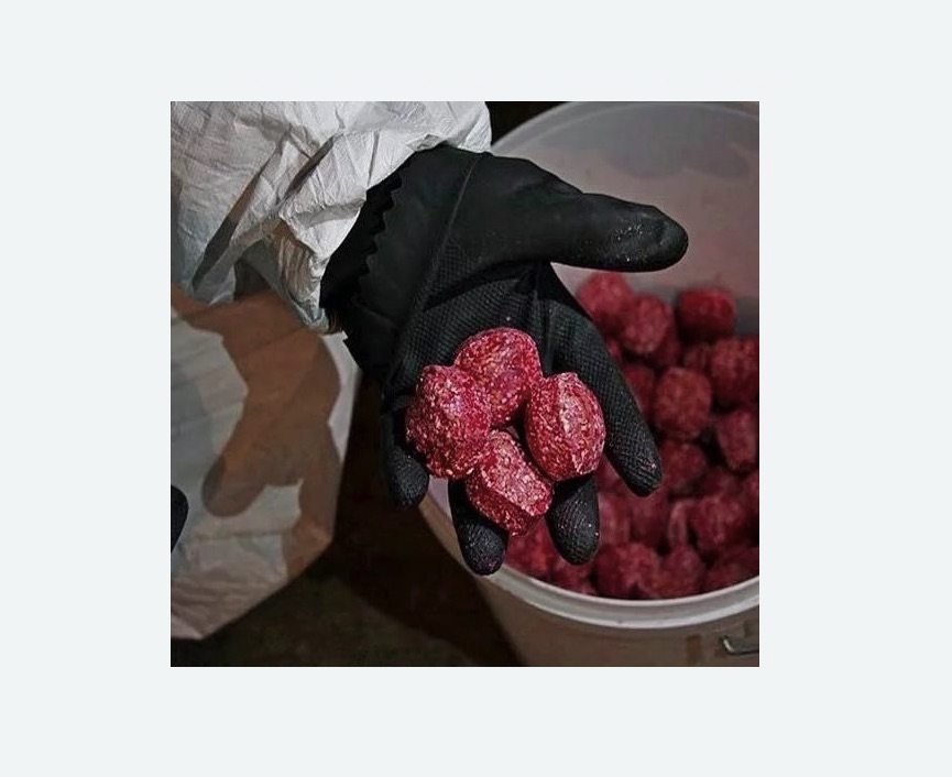 Обработка от крыс в Оленегорске