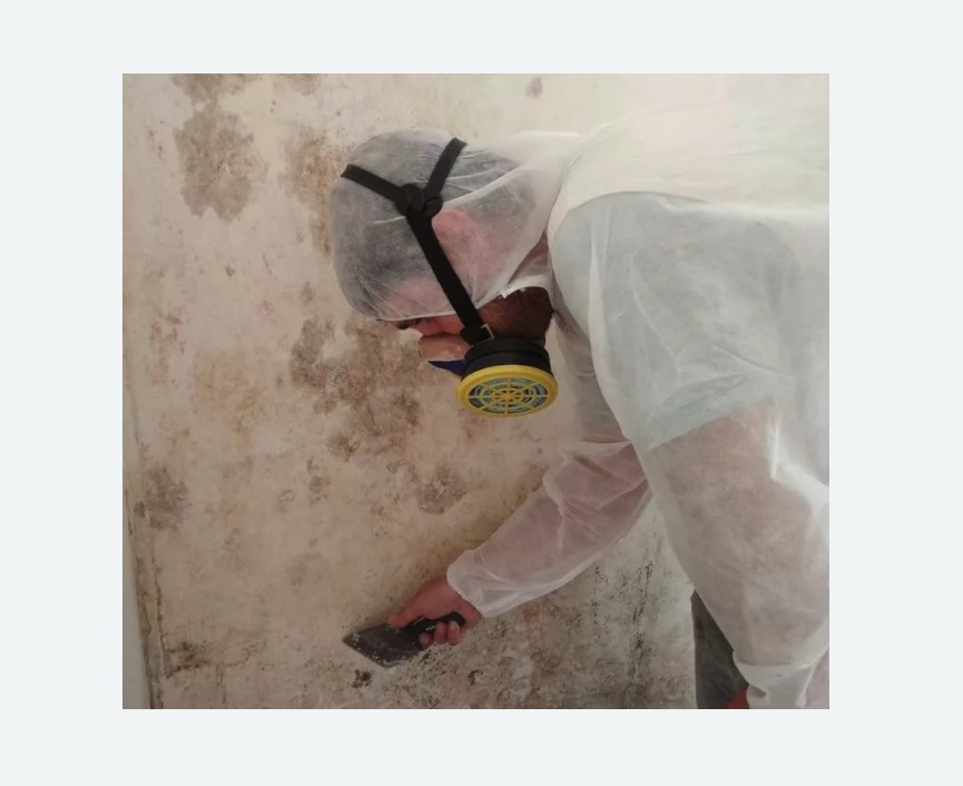 Обработка стен от плесени Обработка стен от плесени в Оленегорске