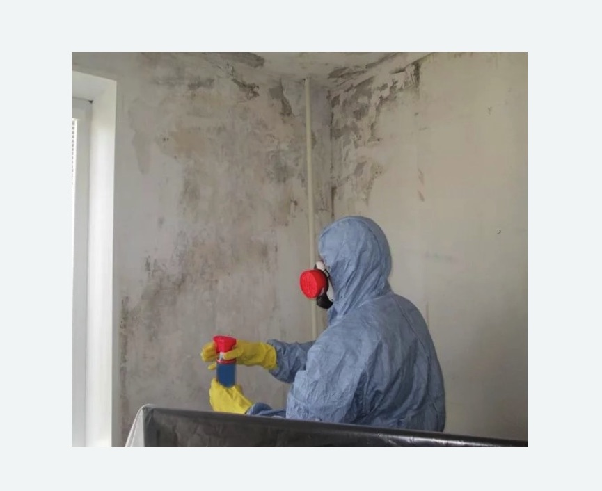 Удаление плесени в квартире Удаление плесени в квартире в Оленегорске