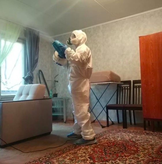 дезинсекция квартиры в Оленегорске