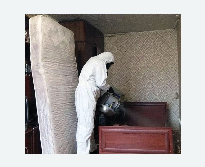 дезинфекция от клопов в Оленегорске