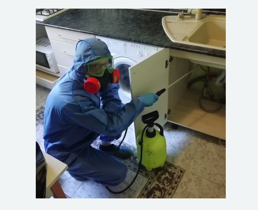 обработка от муравьев в квартире в Оленегорске