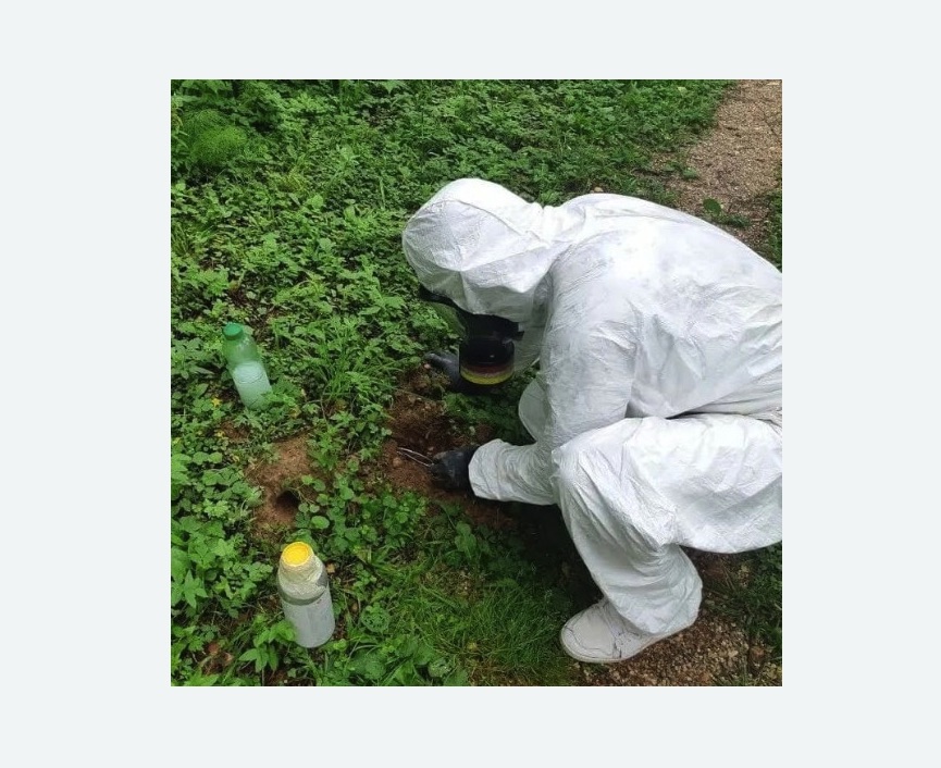 уничтожение кротов на участке в Оленегорске