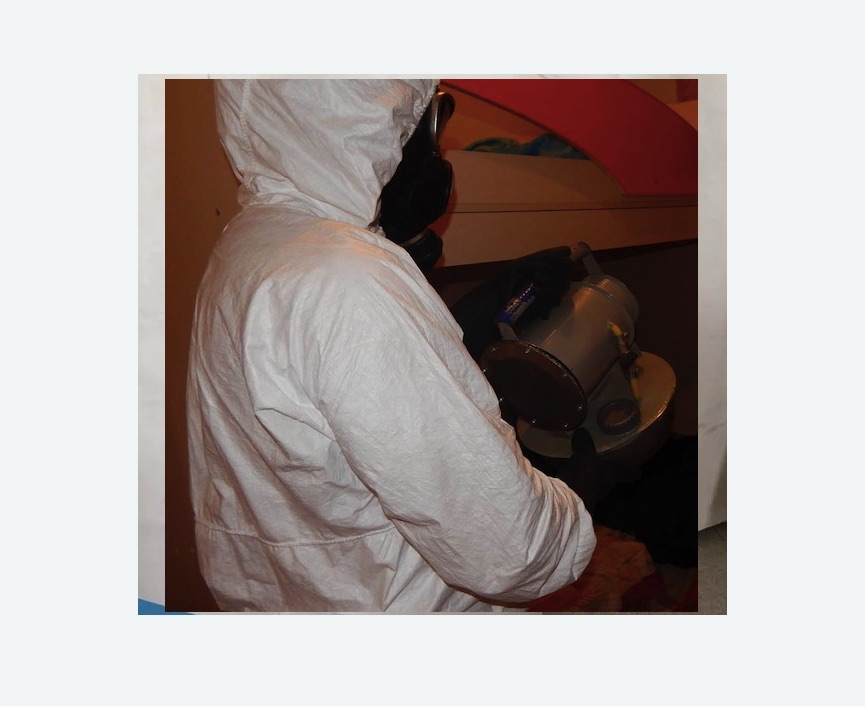 Дезинфекция от муравьев в Оленегорске