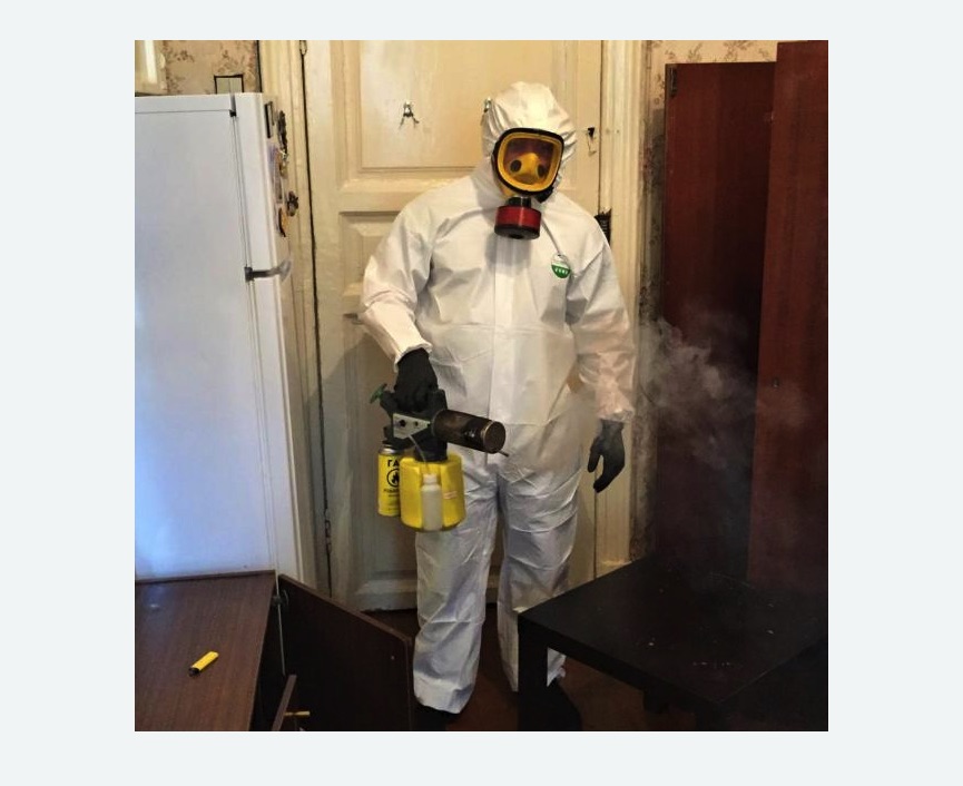 уничтожение муравьев в квартире в Оленегорске